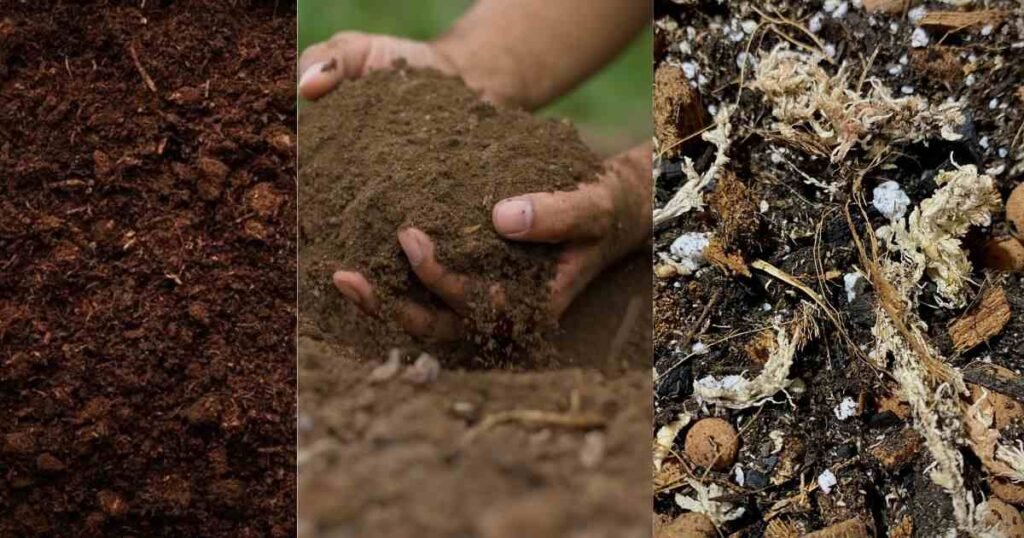 Soil Composition