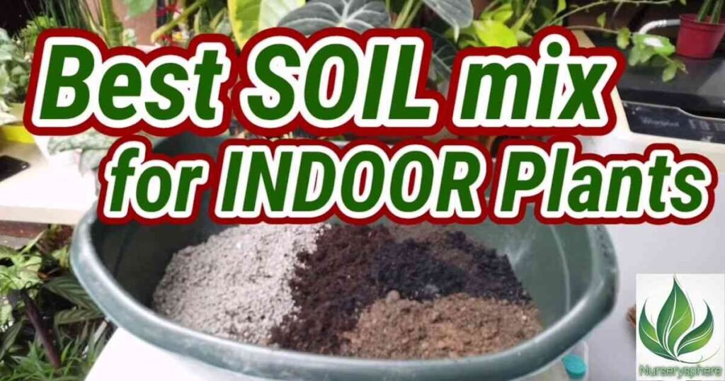 The Best Soil Mix for Epipremnum Albo: Ensuring Proper Drainage